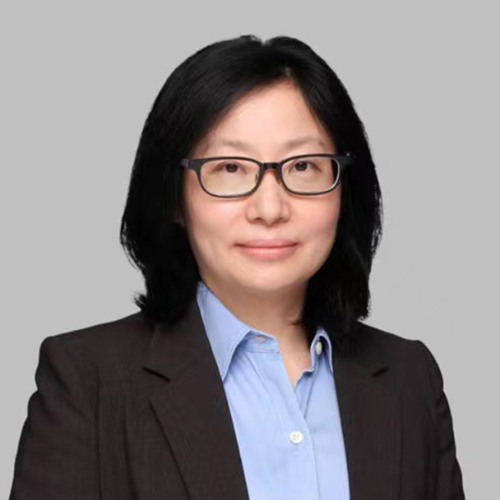 Arctic Vision-Management Team-Ping Cheng-Associate Vice President, Finance